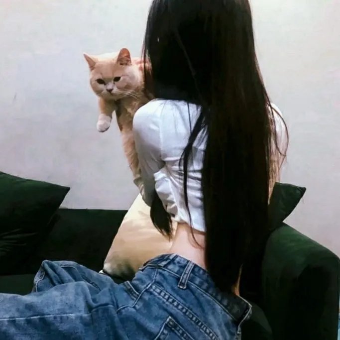 大师的菜